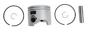 BRP 5008423 Piston&Ring ASSEMBLY-STANDARD - BRP (5008423)
