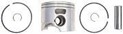 BRP 5008424 Piston&Ring ASSEMBLY.020 - BRP (5008424)