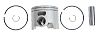 BRP 5008425 Piston&Ring ASSEMBLY.020 - BRP (5008425)