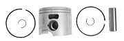 BRP 5008544 Piston&Ring ASSEMBLY-STANDARD - BRP (5008544)