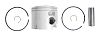 BRP 5008545 Piston&Ring ASSEMBLY-STANDARD - BRP (5008545)