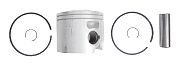 BRP 5008545 Piston&Ring ASSEMBLY-STANDARD - BRP (5008545)