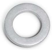 BRP 5030465 Oil Drain Plug Gasket - Brp (5030465)