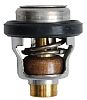 BRP 5031762 Thermostat - BRP (5031762)