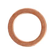 BRP 5031863 Oil Drain Plug Gasket - BRP (5031863)