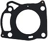 BRP 5033342 Head Gasket - BRP (5033342)