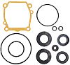 BRP 5033798 Sealing Kit - BRP (5033798)