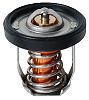 BRP 5036226 Thermostat - BRP (5036226)