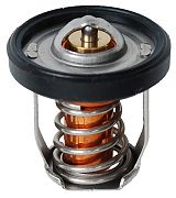 BRP 5036226 Thermostat - BRP (5036226)