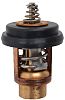 BRP 5040958 Thermostat - BRP (5040958)
