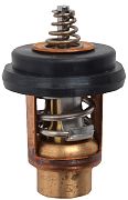 BRP 5040958 Thermostat - BRP (5040958)