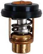 BRP 5041185 Thermostat - BRP (5041185)