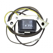 BRP 581670 Coil & Lamination - BRP (581670)