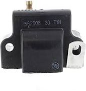BRP 582508 Ignition Coil - BRP (582508)
