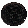 Beckson 6" NON-SKID SCREW-OUT Deck Plate - Black