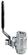 Buck Algonquin 70SSBV25 Ball Valve 1/4IN SS