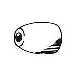 Camp 809660 Mercury Outdrive Anode (B)