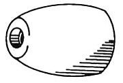 Camp BB 1-5/8" Diameter Zinc Propeller Nut