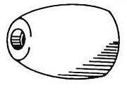 Camp DD 2-5/16" Zinc Propeller Nut