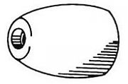 Camp FF 2-3/4" Diameter Zinc Propeller Nut