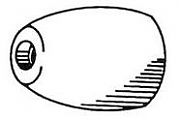 Camp GG 2-13/16" Diameter Zinc Propeller Nut