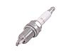 Champion 833S Spark Plug Shop Pack - 24/PK