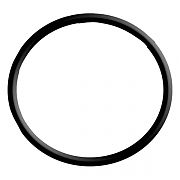 EMP 25-02443-1 O-Ring (5)