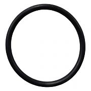 EMP 25-25955-1 O-Ring (5)