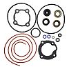 EMP 26-00079 Gear Housing Seal Kit
