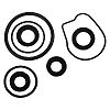 EMP 26-01300 Lower Unit Seal Kit (26-01300)