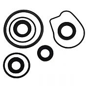 EMP 26-01300 Lower Unit Seal Kit (26-01300)