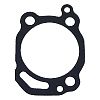 EMP 27-00308 Water Pump Gasket