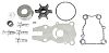 EMP 46-46233 Water Pump Repair Kit (46-46233)