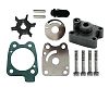 EMP 46-46243 Water Pump Repair Kit with Housng (46-46243)
