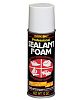 Evercoat 100654 Sealant & Spray Foam 12oz