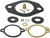 GLM Products 40420 Diaphragm & Gasket Kit
