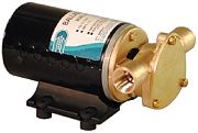 ITT Jabsco 182201127 12VDC Wakeboard & Ski Boat Ballast Pump