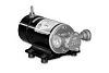 ITT Jabsco 186200003 Pump Mini Puppy 12V 1.6GPM