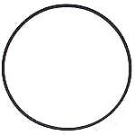 ITT Jabsco 439900066 Round O-Ring