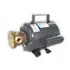 ITT Jabsco 60500003 115/230V Utility Pump