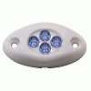 Innovative Lighting Courtesy Light - 4 LED Surface Mount - Blue Led/White Case