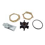 Johnson Pump 09-810B-1 6 Blade Impeller Kit