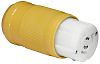 Marinco 6360CRN 50A 125V Female Connector