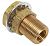 Moeller 03343510 Fitting-Bulkhead Brass 1/4" NPT