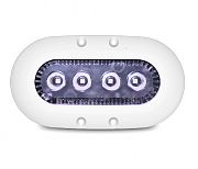 OceanLED X-Series - X4 - Ultra White LED