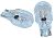 Perko 0338DP1CLR Bulbs 12V Wedge 2/CD