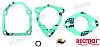 Recmar REC13910-94701 Carburetor Kit