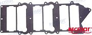 Recmar REC65L-13645-00 Intake Gasket