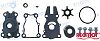 Recmar REC6BG-W0078-00 Water Pump Kit