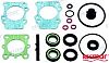Recmar REC6G9-W0001-C6 Seal Kit Gear Housing